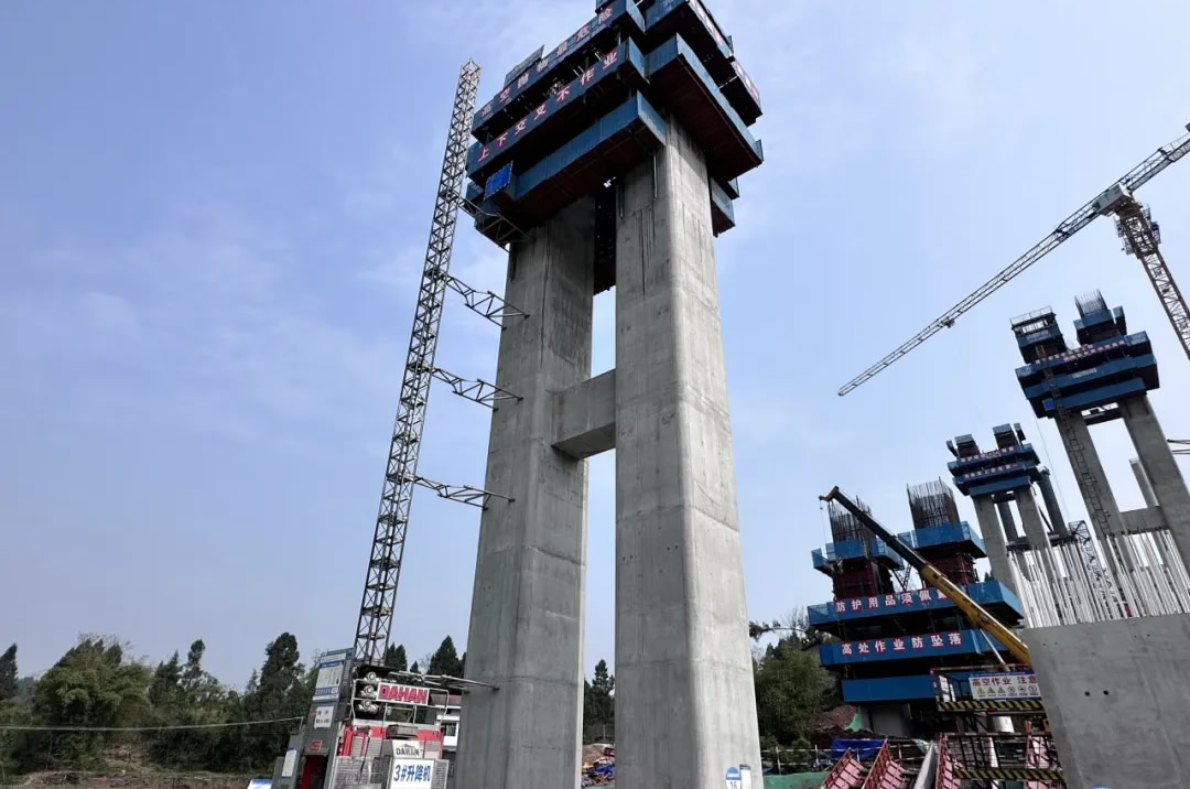 1735627353634331.jpg 1.jpg