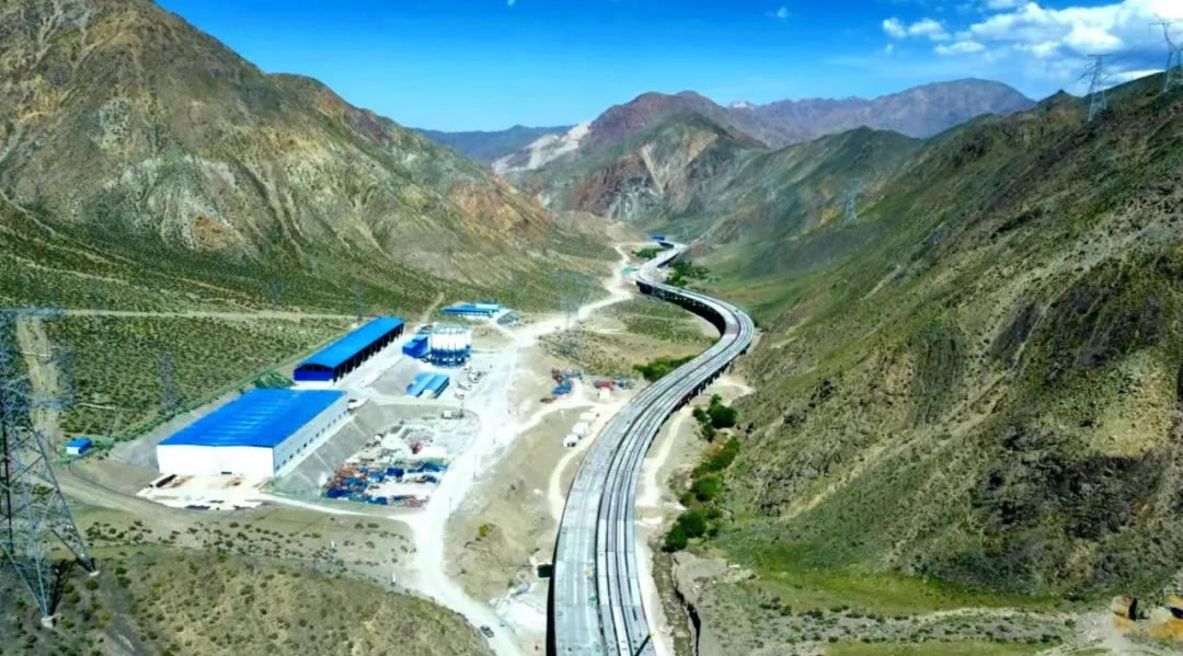 1737516539322609.jpg 1.jpg