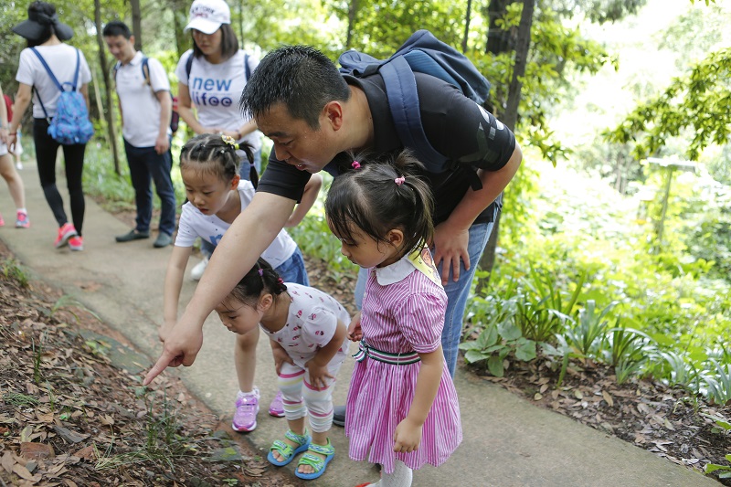 2.登山找昆蟲2.jpg 2.登山找昆蟲2.jpg