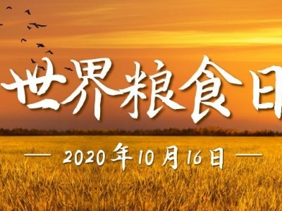 世界糧食日|光盤行動，睿寂行空壓機在行動......